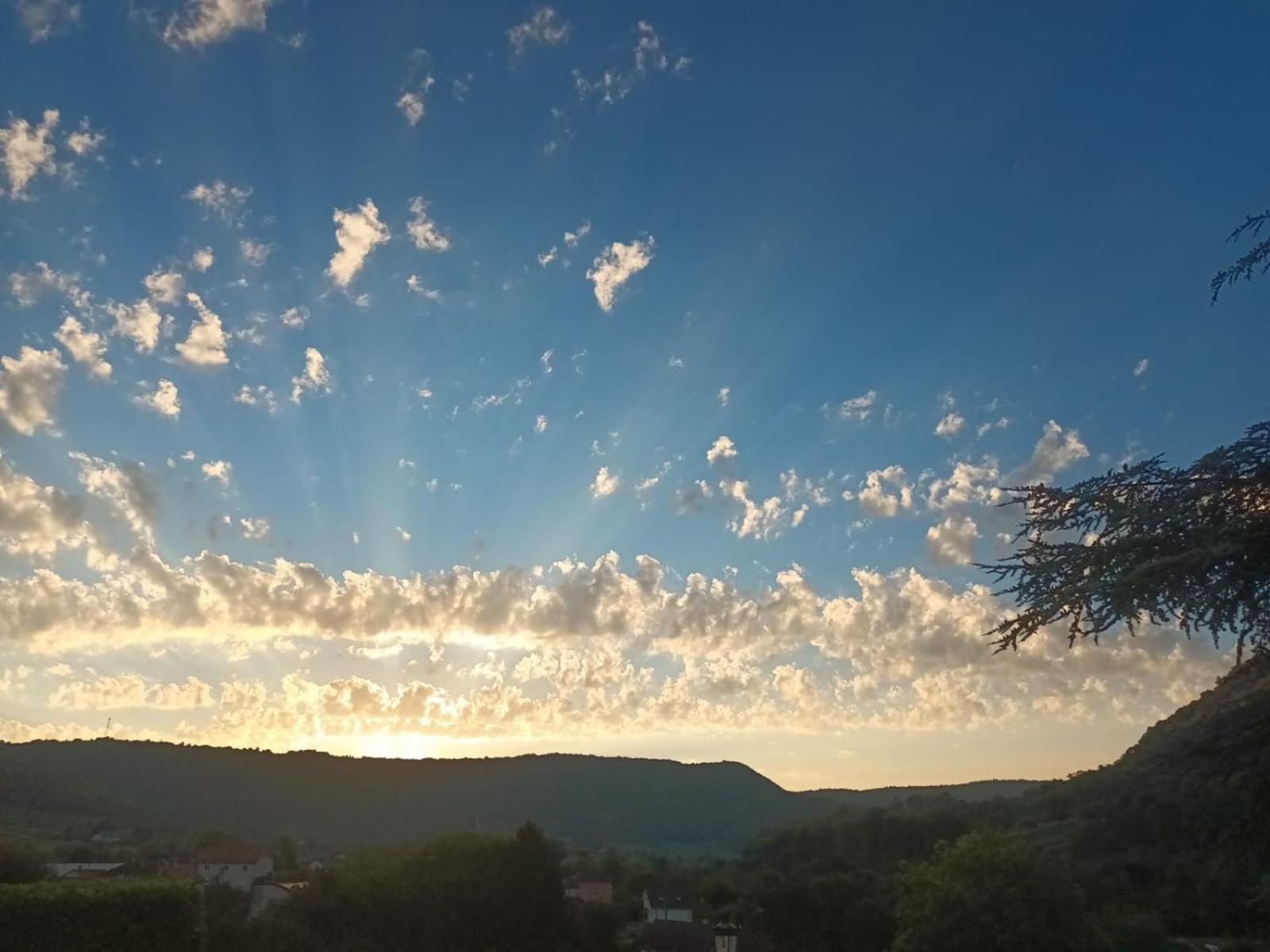 Longue Vue En Arbois Bed & Breakfast Dış mekan fotoğraf